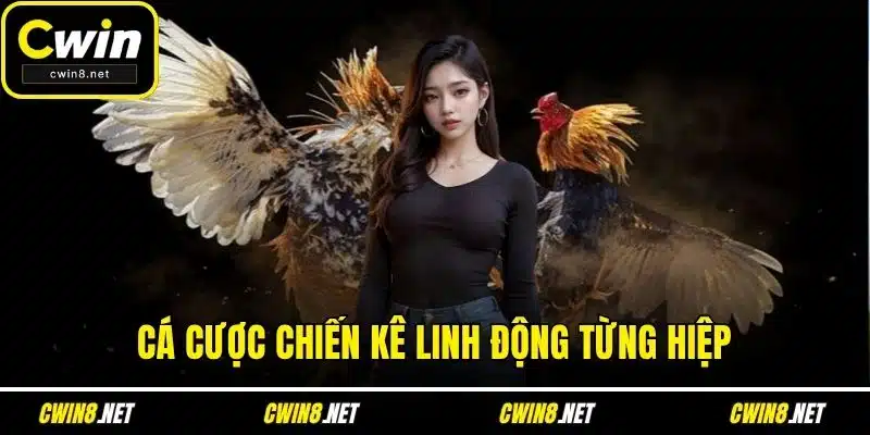Cá cược chiến kê linh động từng hiệp