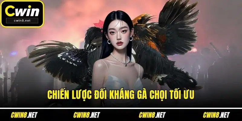 Chiến lược đối kháng gà chọi tối ưu