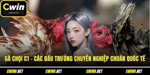 Gà chọi C1