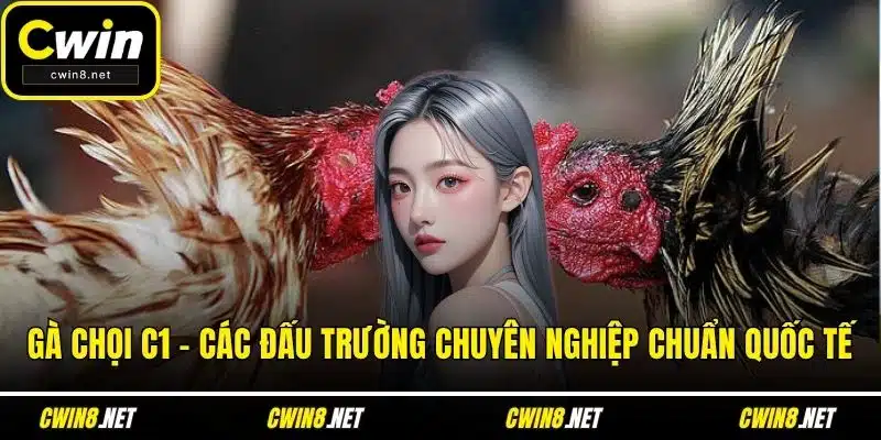 Gà chọi C1
