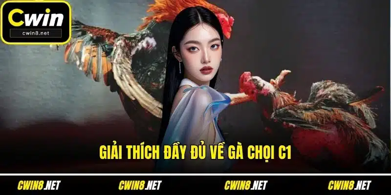 Giải thích đầy đủ về gà chọi c1