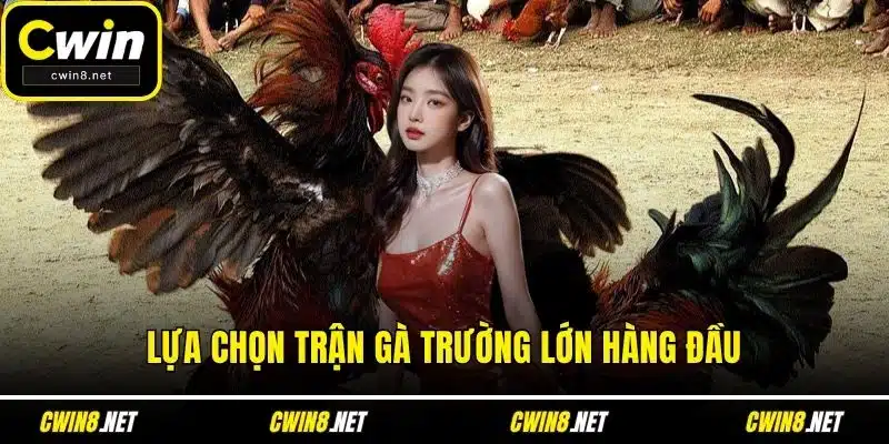 Lựa chọn trận gà trường lớn hàng đầu