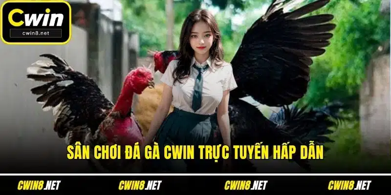 Sân chơi đá gà CWIN trực tuyến hấp dẫn