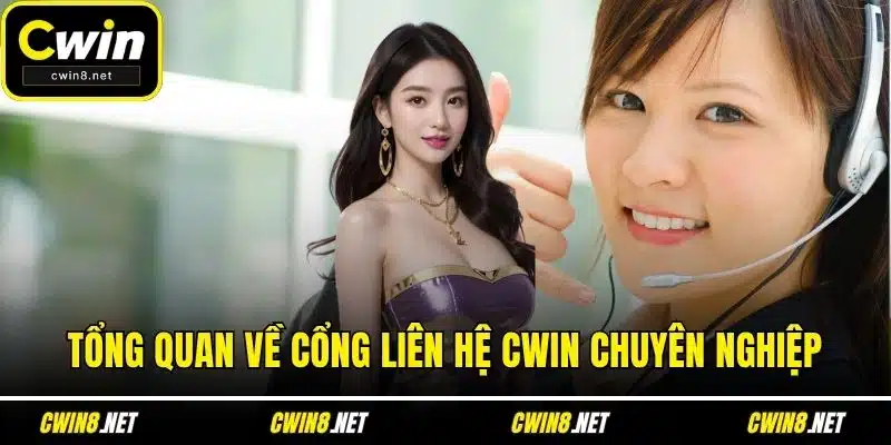 Tổng quan về cổng liên hệ CWIN chuyên nghiệp